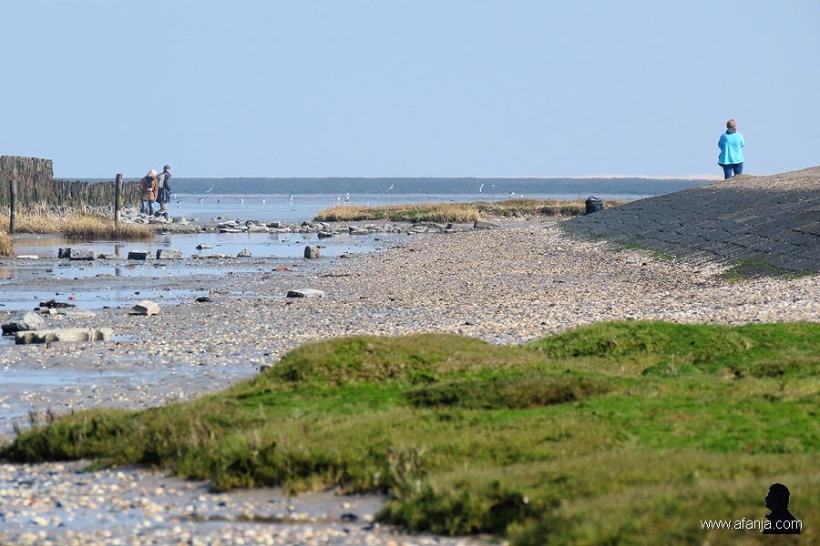 buitendijks gebied de Peazemerlannen (6)