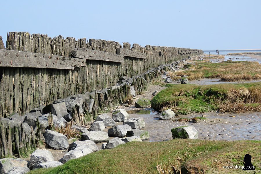 een oude palenrij (4)