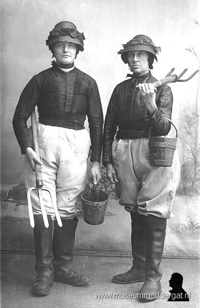 wjirmdolsters - pierensteeksters