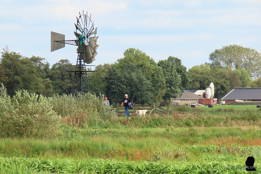 wandelaars in de Jan Durkspolder