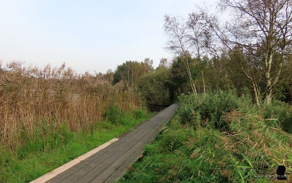 vlonderbrug in de Deelen