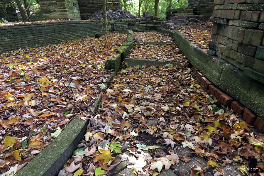 herfstbladeren op het pad