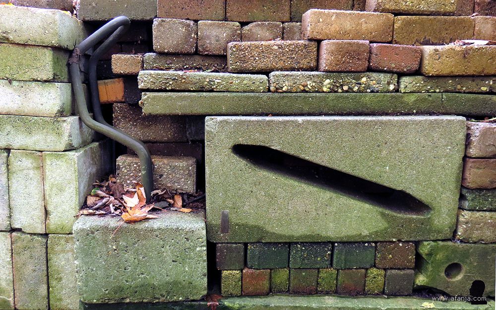 fietsenstalling in de Ecokathedraal