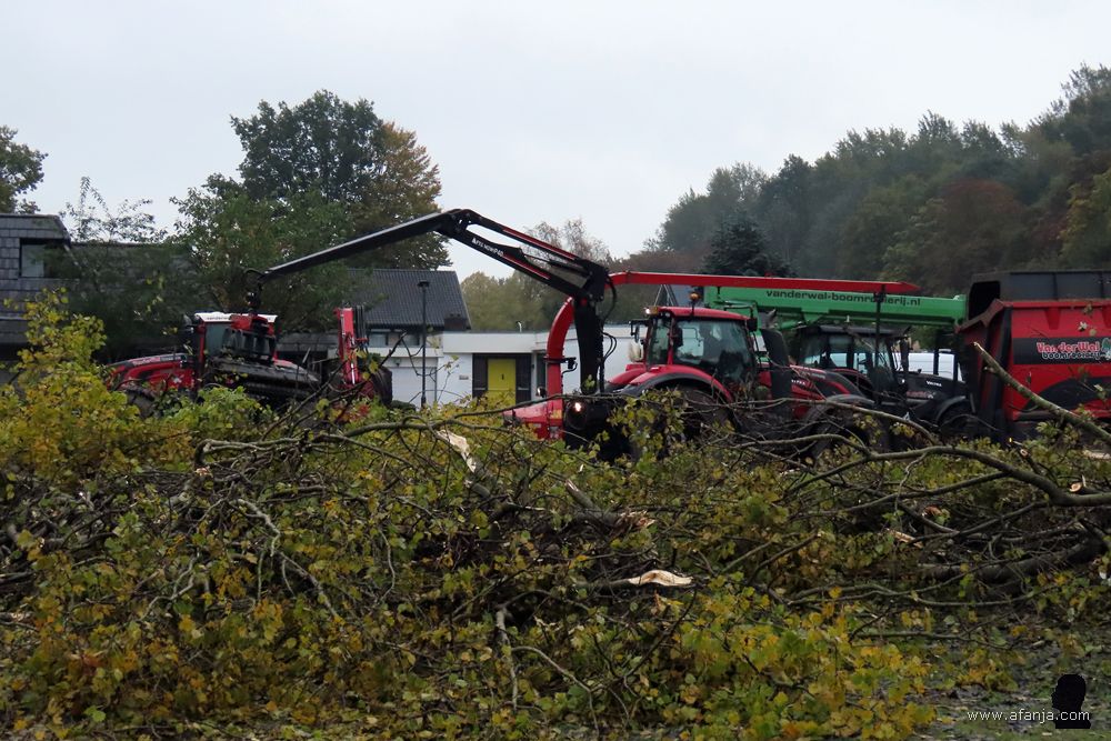 snoeiwerk met groot materieel(?)