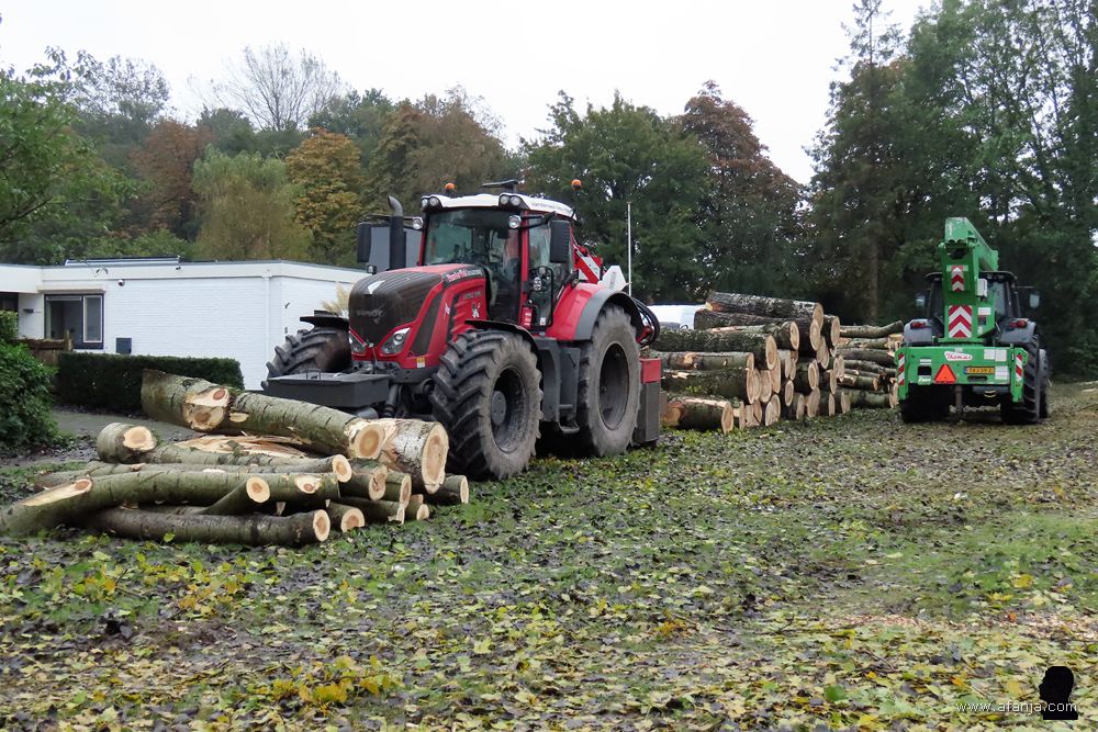 omgezaagde bomen aan de Eikesingel