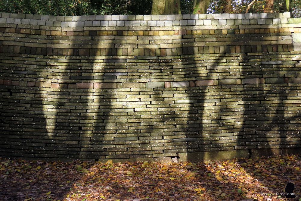 schaduwen in de Ecokathedraal