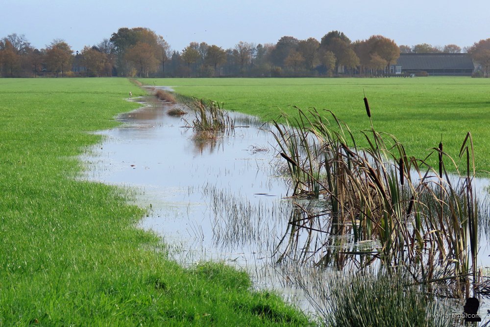 't is nog steeds nat