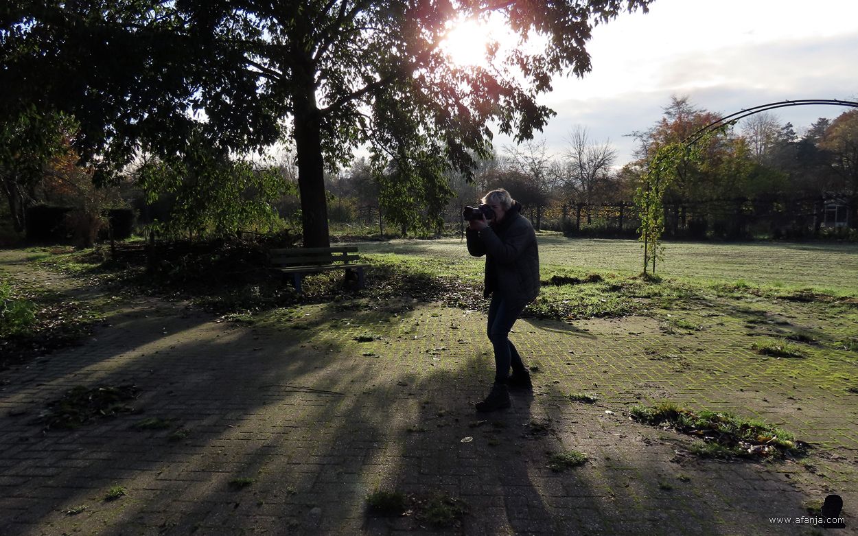 fotomaatje Jetske aan het werk