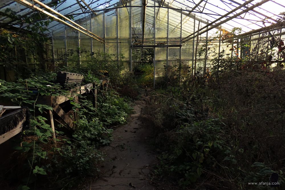 overdekte wildernis in de oude Tuinbouwschool Frederiksoord