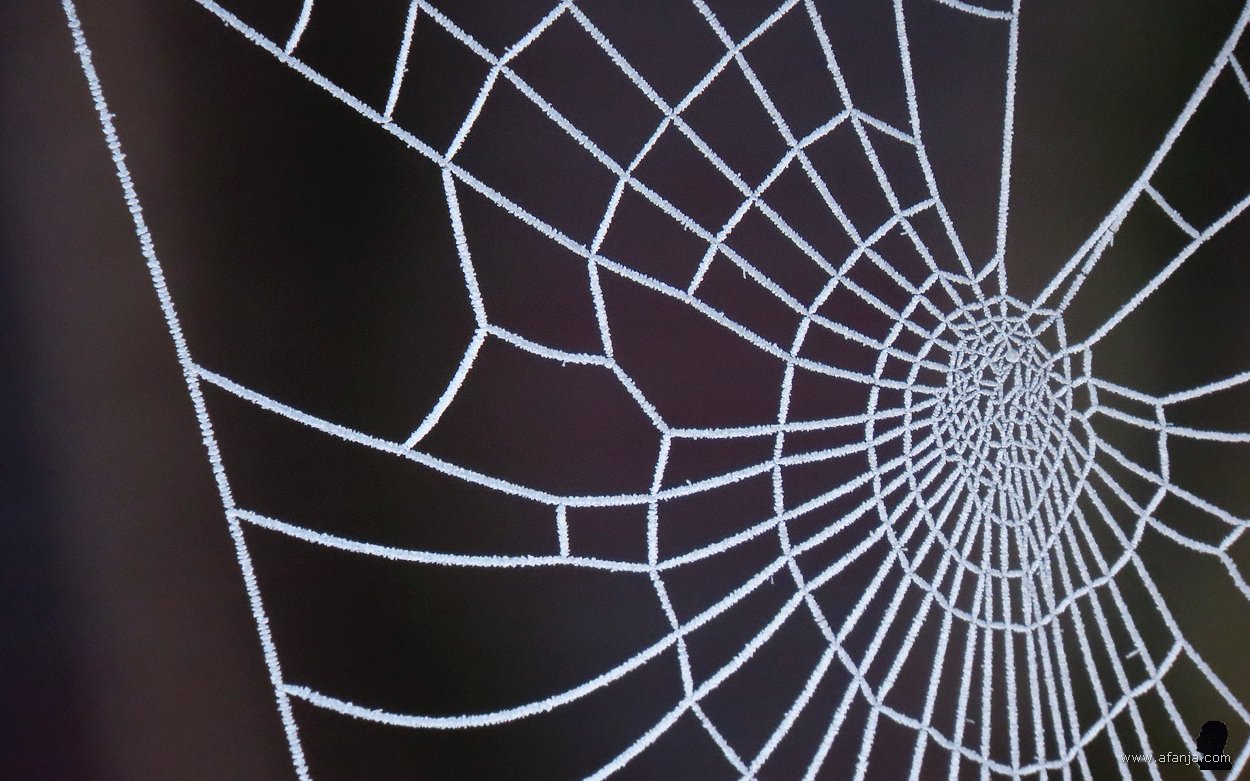 close-up van het berijpte spinnenweb aan mijn weerstation gezien vanuit de slaapkamer