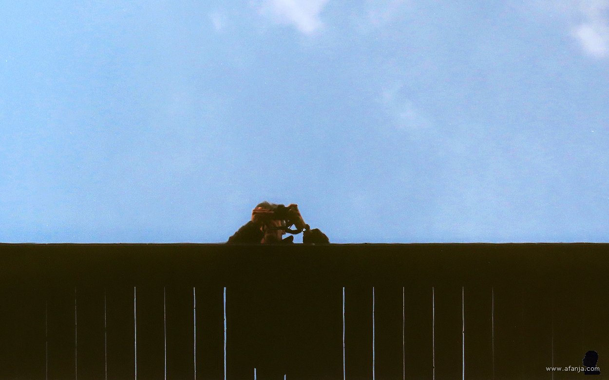 weerspiegeling in de Drachtstervaart