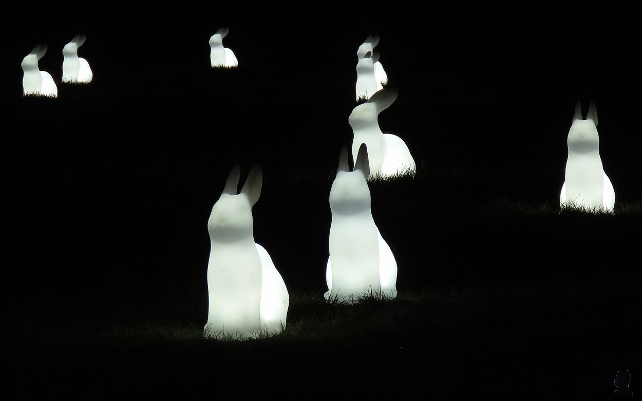Lichtfestival Drachten - Field of Moon Gazing Rabbits - AM Yang en Nelly Blessinga