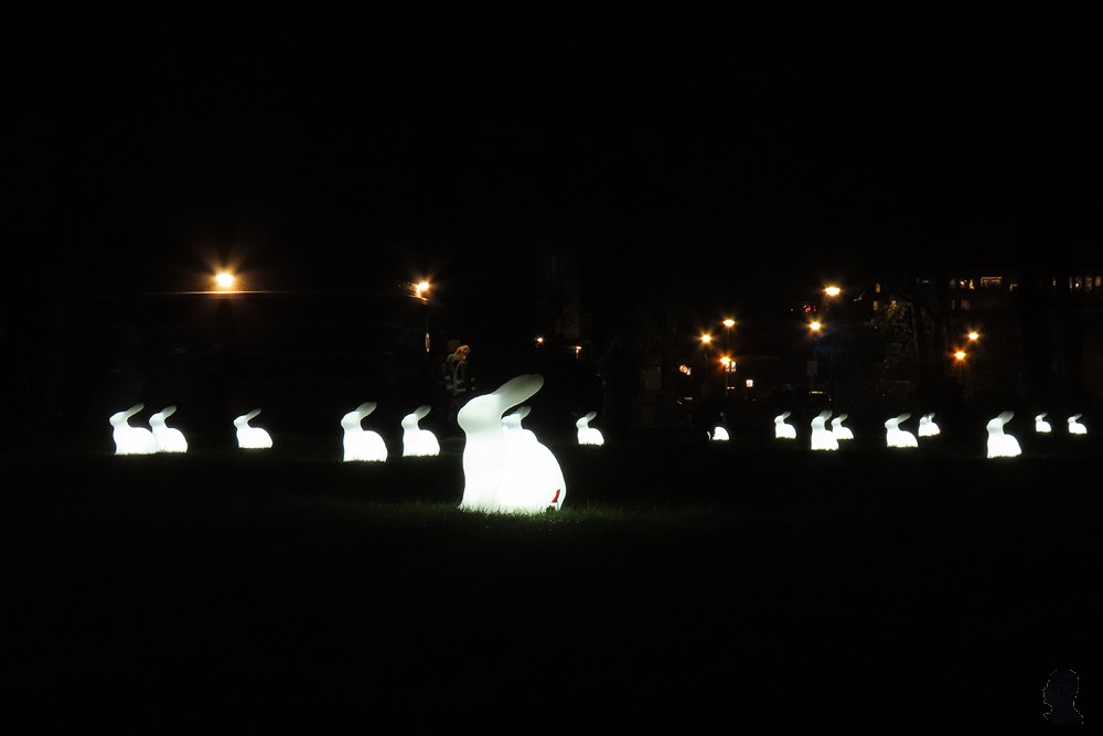 Lichtfestival Drachten - Field of Moon Gazing Rabbits - AM Yang en Nelly Blessinga