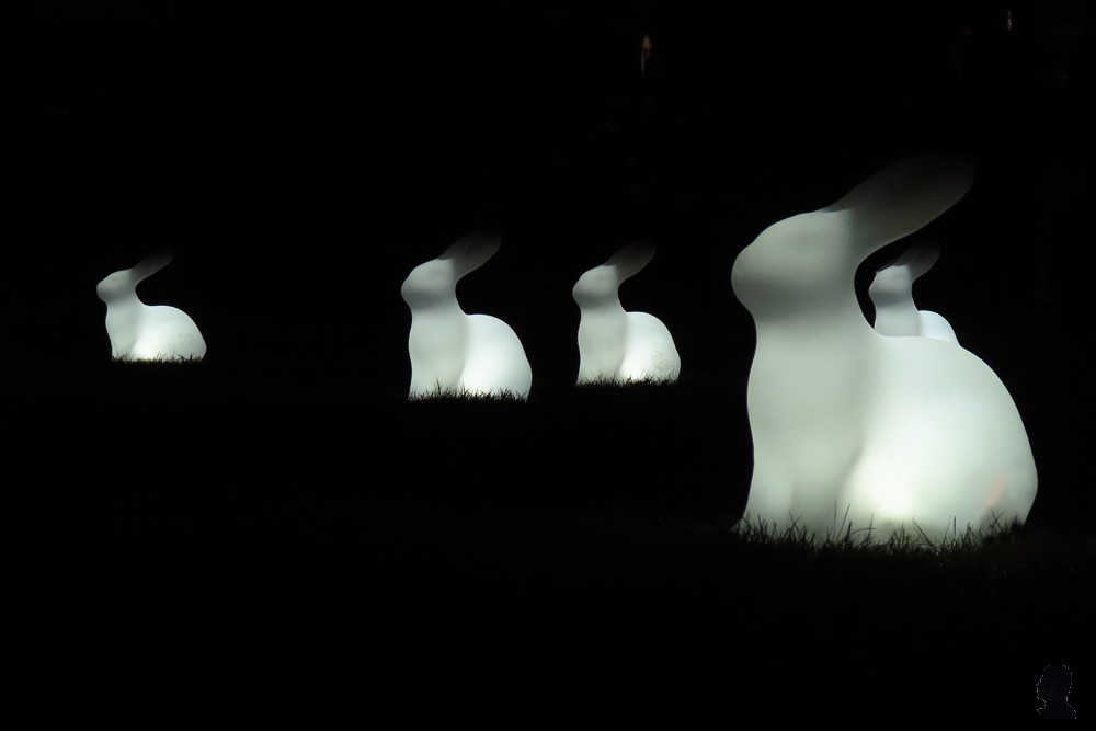 Lichtfestival Drachten - Field of Moon Gazing Rabbits - AM Yang en Nelly Blessinga