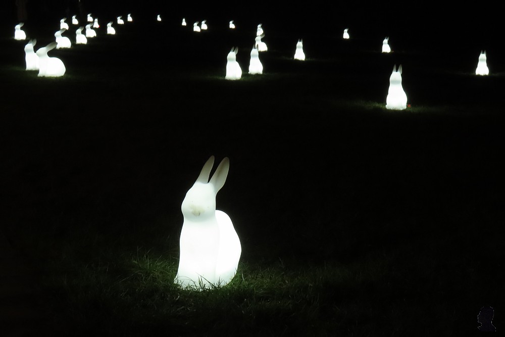 Lichtfestival Drachten - Field of Moon Gazing Rabbits - AM Yang en Nelly Blessinga
