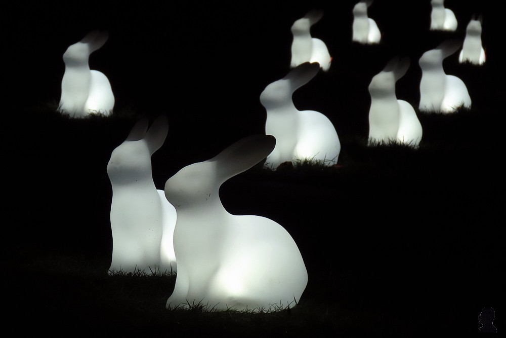 Lichtfestival Drachten - Field of Moon Gazing Rabbits - AM Yang en Nelly Blessinga
