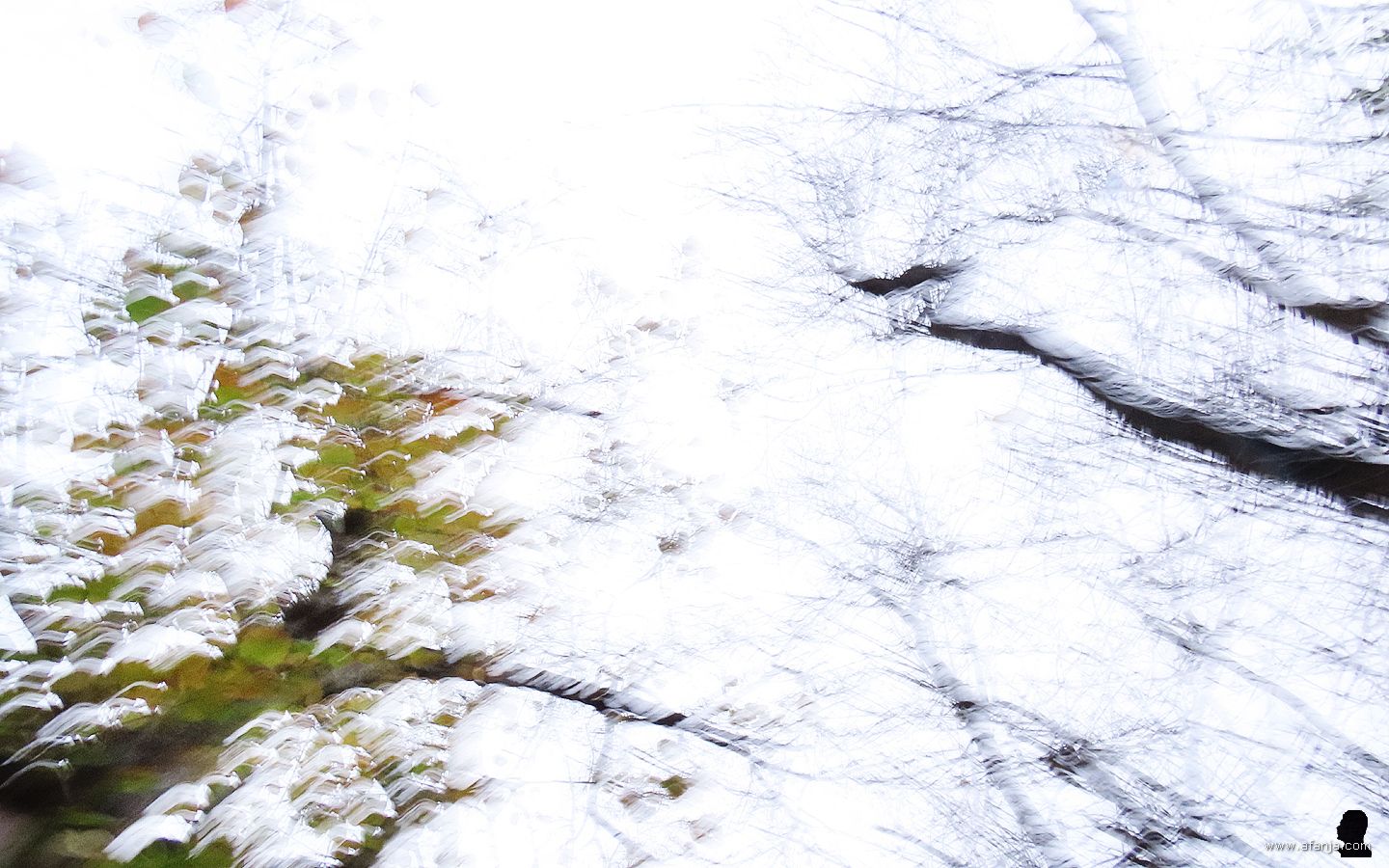 impressie van een herfstdag in de tuin