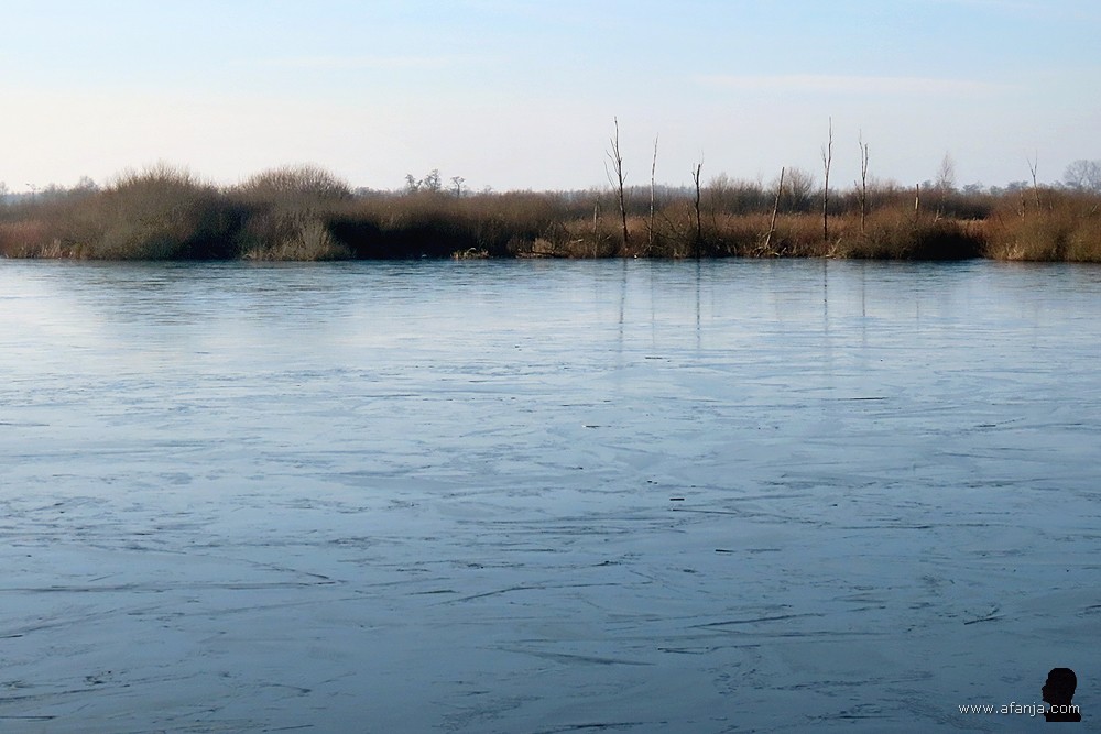 zicht op de westkant van de Jan Durkspolder vanuit de grote vogelkijkhut
