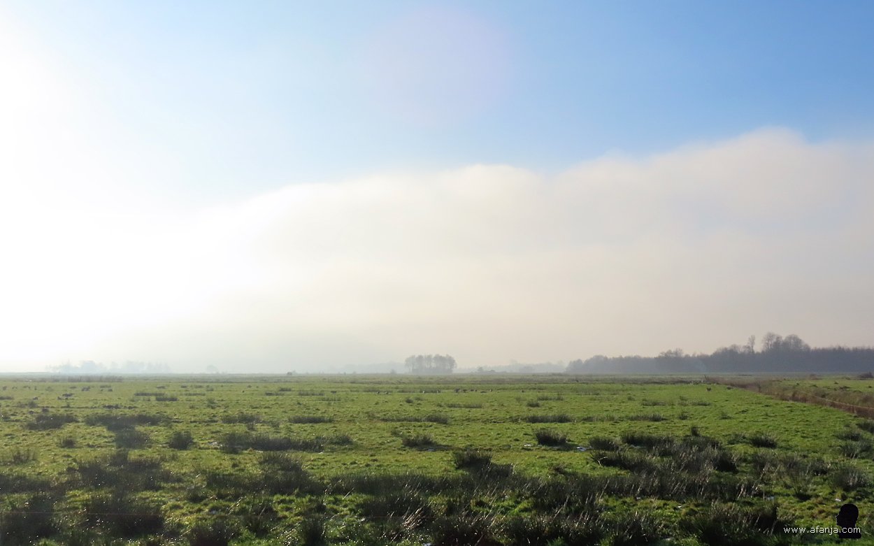 er schuift vanuit het zuidwesten een mistveld over het land