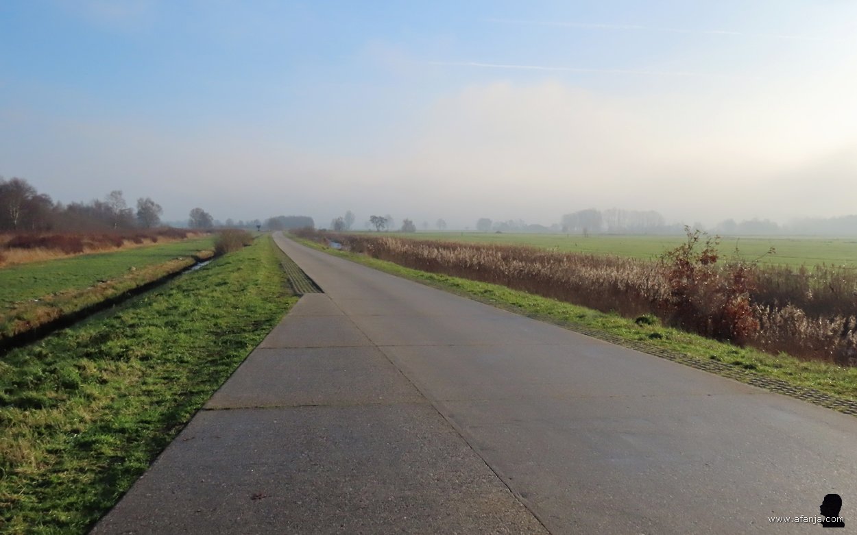 een blik over de Alle Om Slachte in zuidwestelijke richting