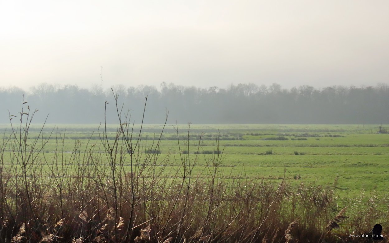 mist daalt over het land neer