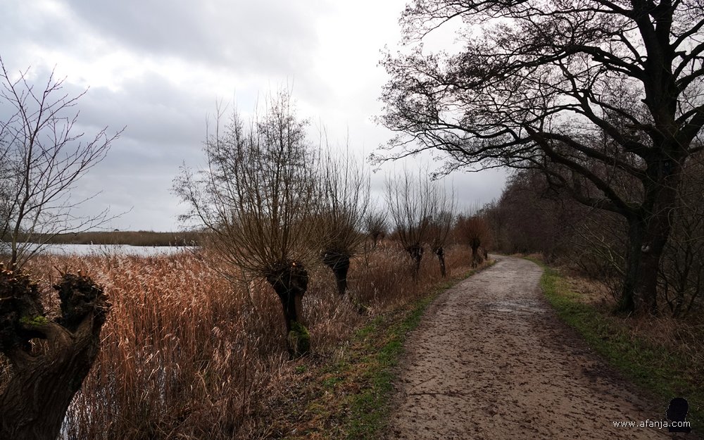 het zandpad 'de Geau' in de Jan Durkspolder