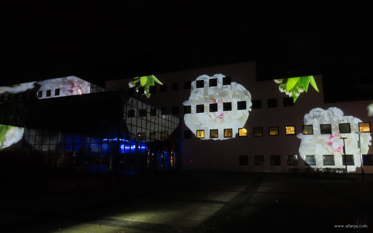 Licht op Drachten - 2