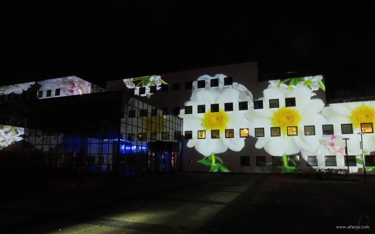 Licht op Drachten - 4