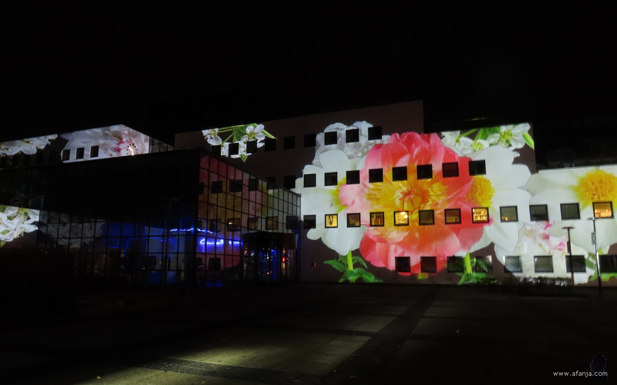 Licht op Drachten - 5