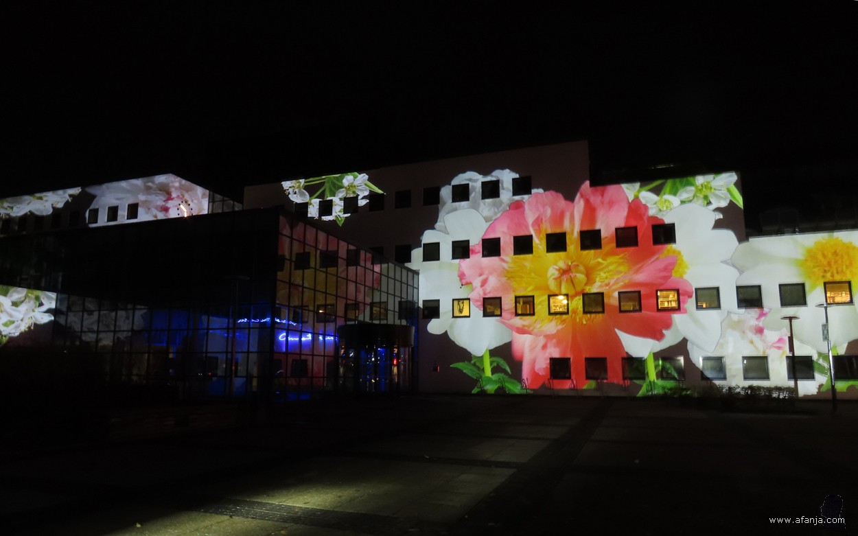 Licht op Drachten - 6