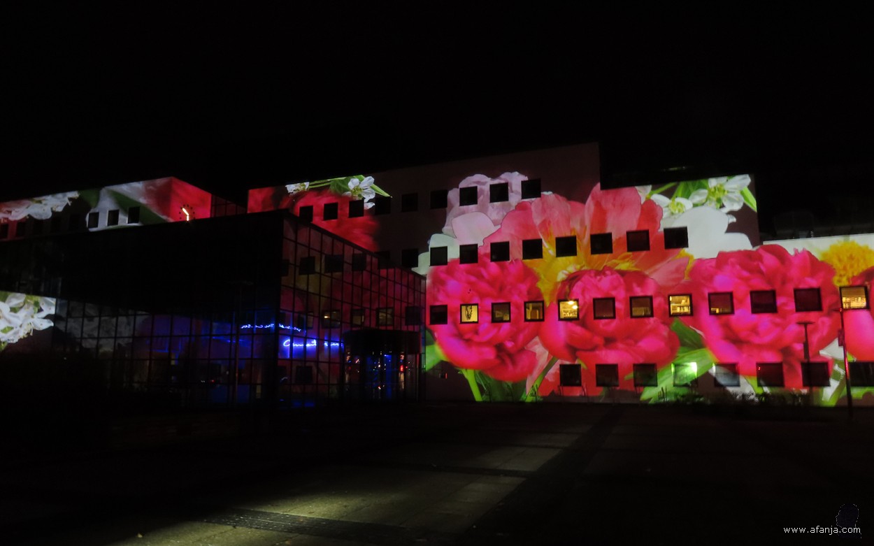 Licht op Drachten - 7