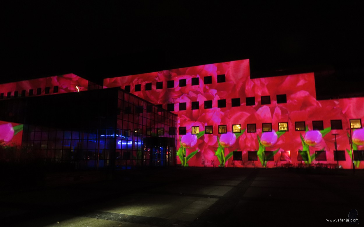 Licht op Drachten - 9