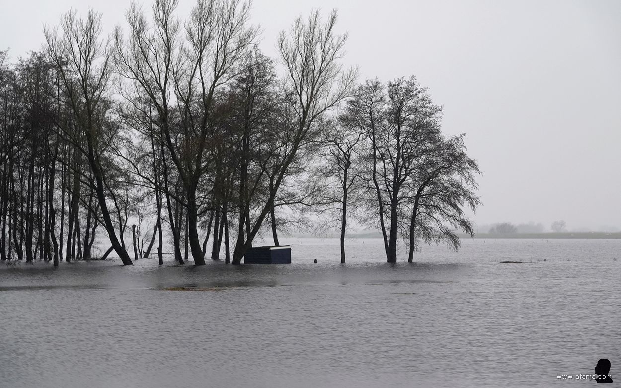 retentiepolder bij Smalle Ee onder water gezet