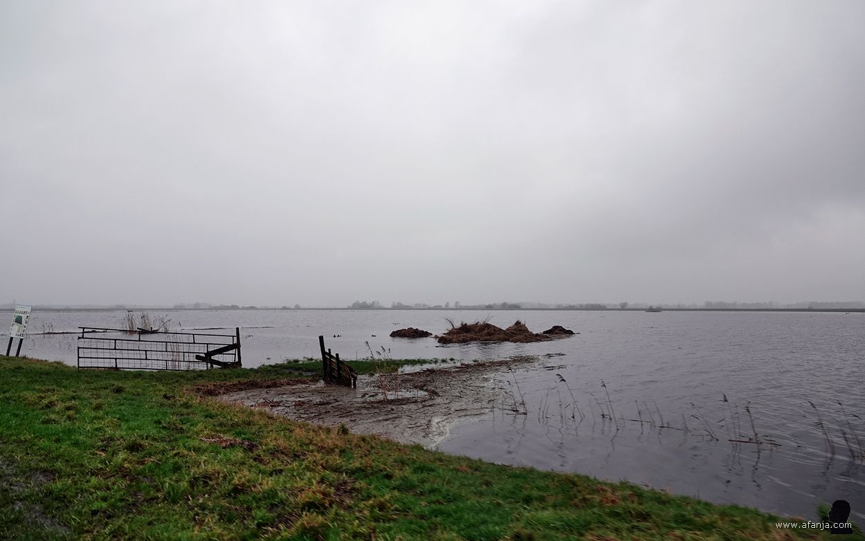 retentiepolder bij Smalle Ee onder water gezet