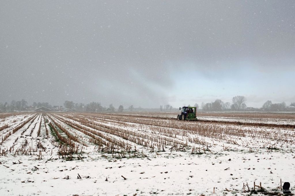 sneeuwbui over een maïsakker, en de boer hij zwoegde voort