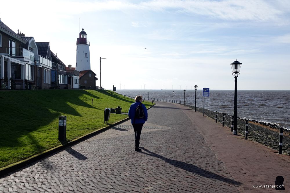 Aafje loopt in de richting van de Urker vuurtoren
