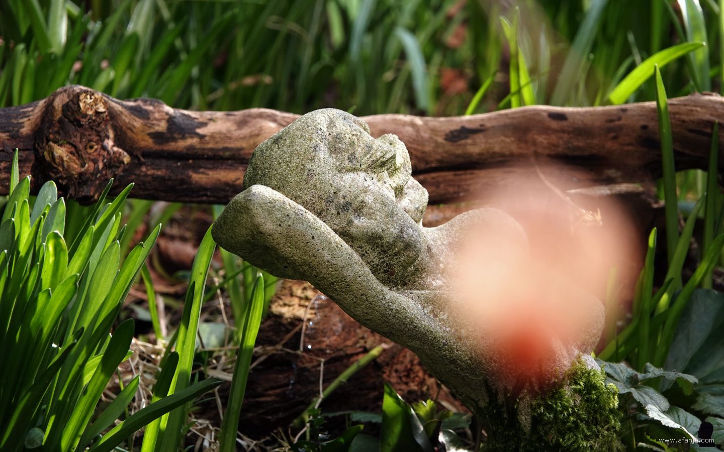 even spelen met 'het meisje bij de vijver' en een lampionnetje