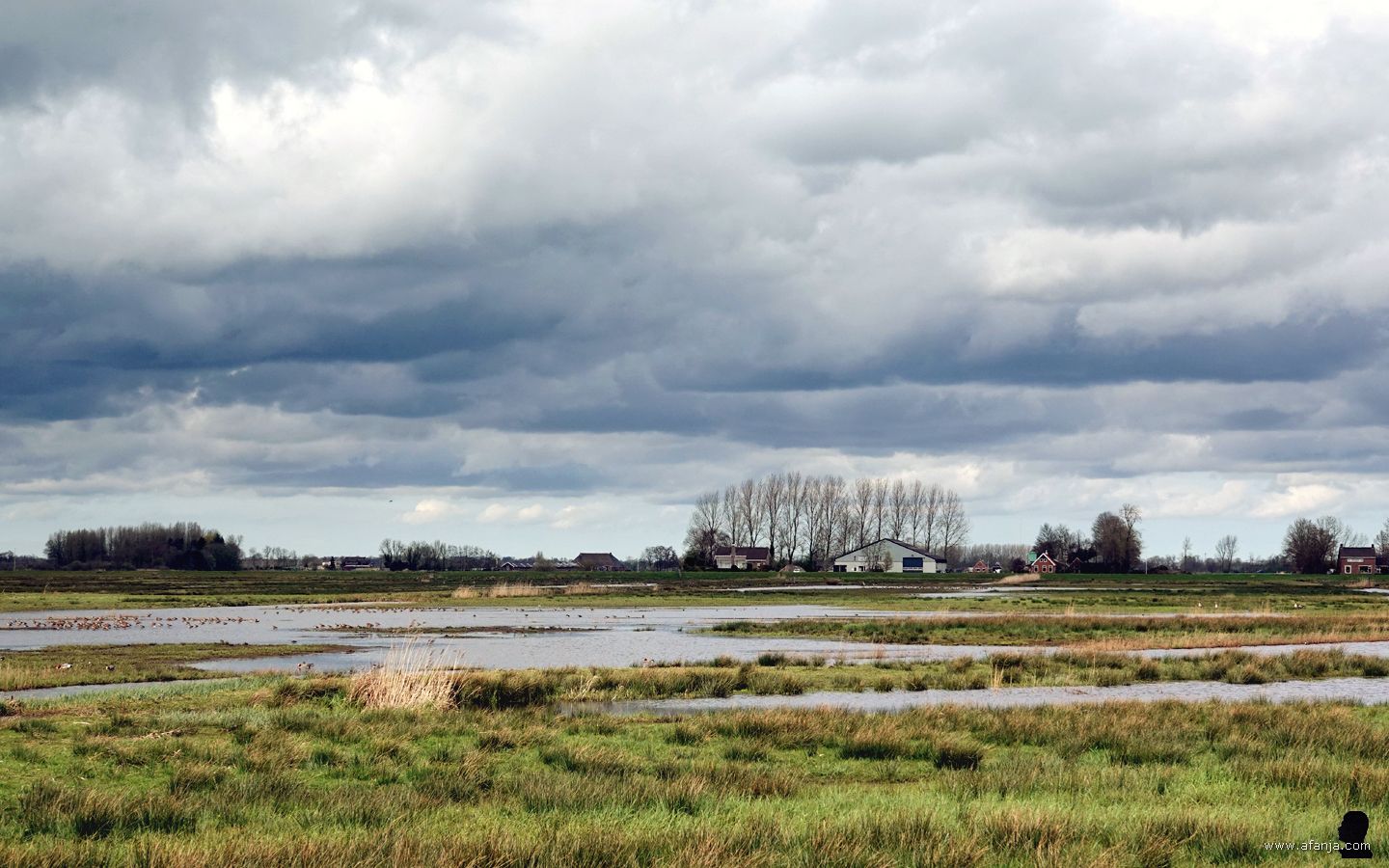 donkere wolken boven het plasdrasland in de Surhuizumermieden