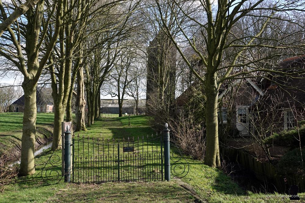 een scheve toren schemert door een groepje bomen