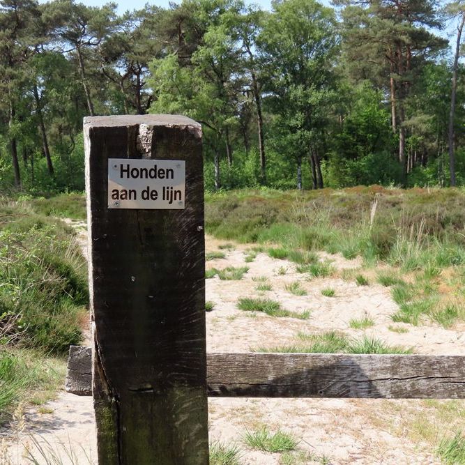 bordje 'Honden aan de lijn' in het bos