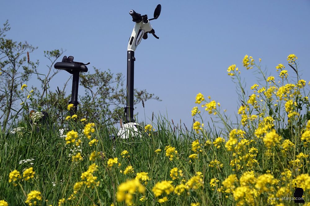 mijn iLark onder een blauwe lucht achter bloeiend koolzaad