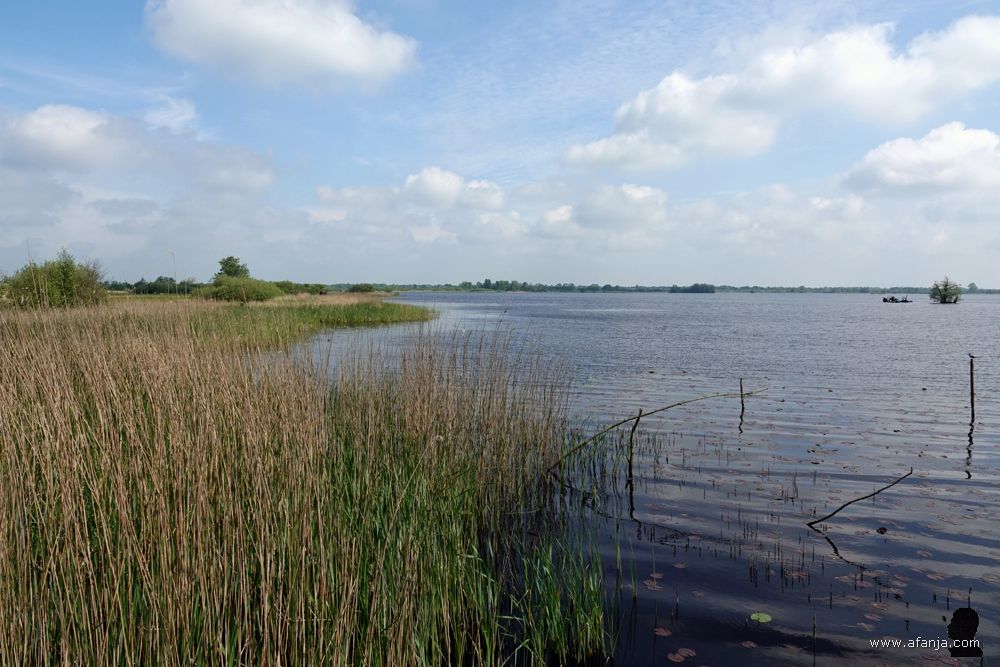 zicht over de Leijen