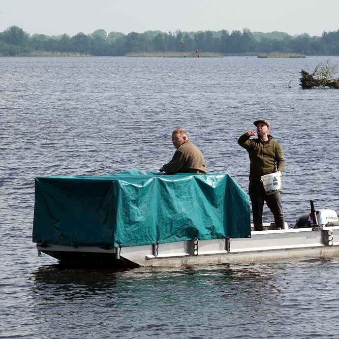 een van de mannen strooide voer rond de boot