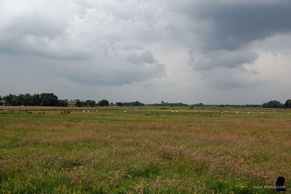 donkere wolken boven de omgeving van Earnewâld en Oudega