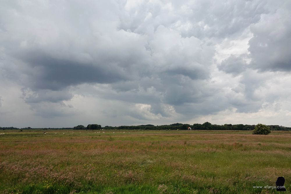 donkere wolken boven de omgeving van Earnewâld en Oudega