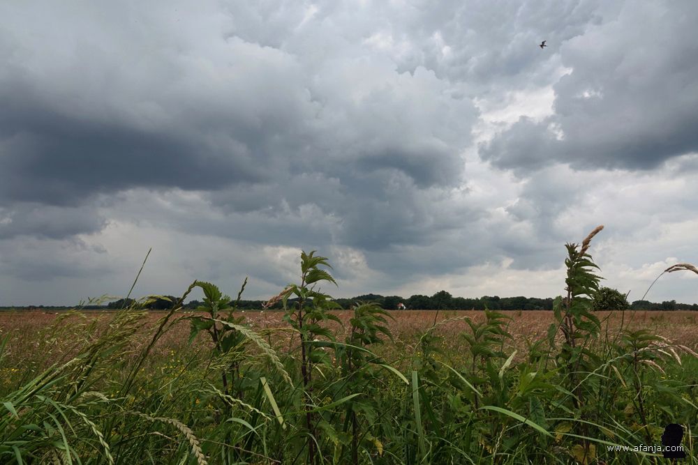 donkere wolken boven de omgeving van Earnewâld en Oudega