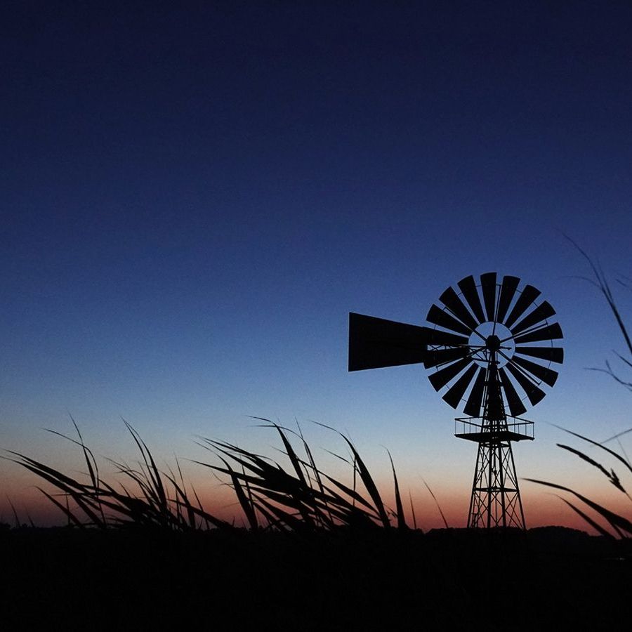 wuivend riet op de voorgrond van de windmotor