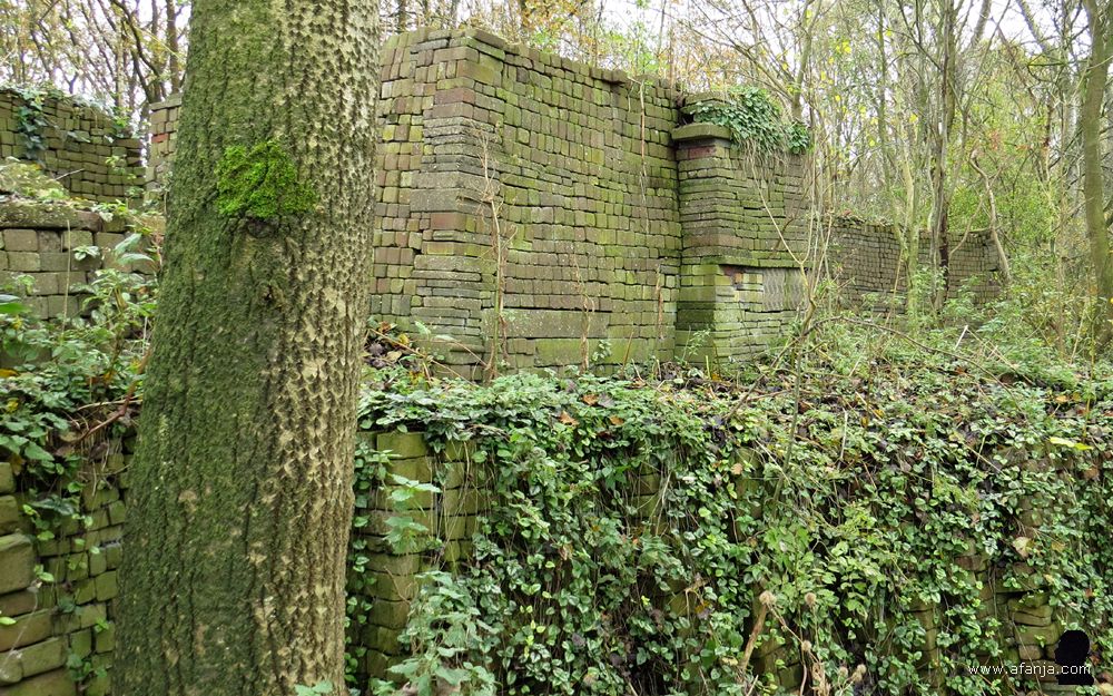 het hoogste en oudste deel van de Ecokathedraal