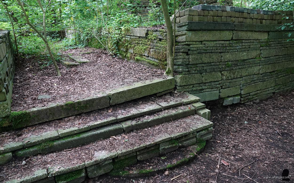 we gaan een stapje hoger in de Ecokathedraal