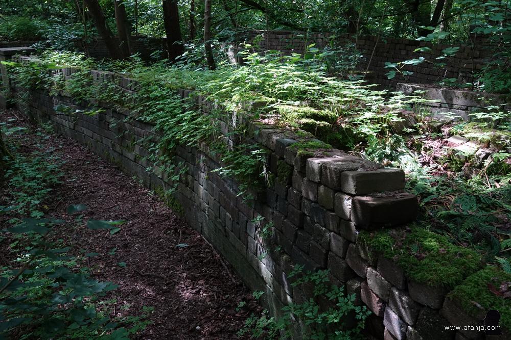 spel van licht en schaduw in de Ecokathedraal